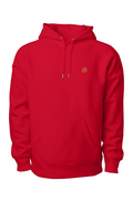 HOODIE DFWD MANIFEST